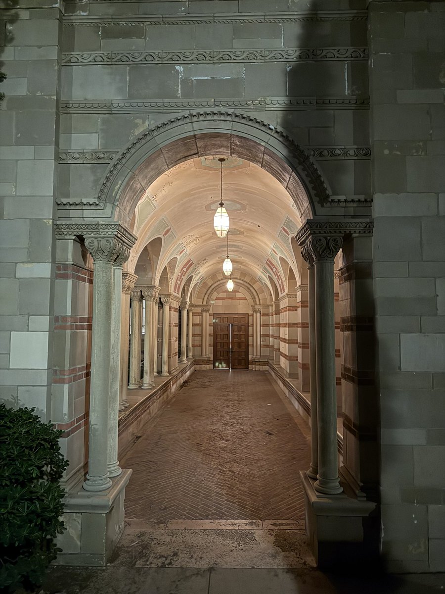 histarch's tweet image. UCLA campus at night. ❤️