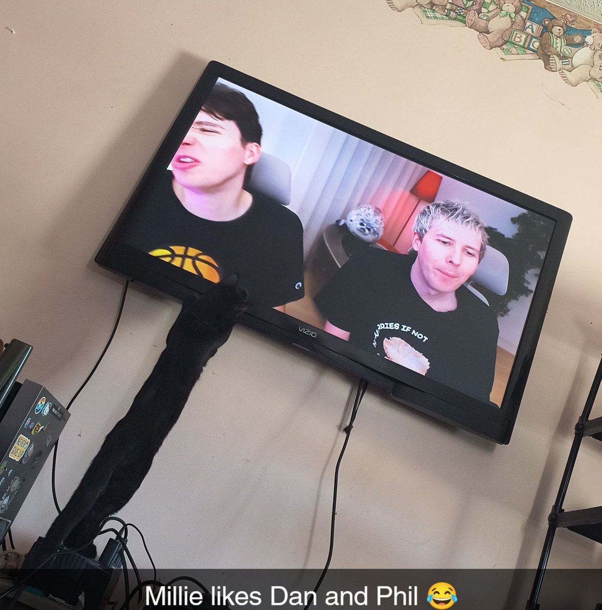 djbeauvais4's tweet photo. My kitten likes you guys @danielhowell @AmazingPhil 😂 https://t.co/kudDg6jp0u
