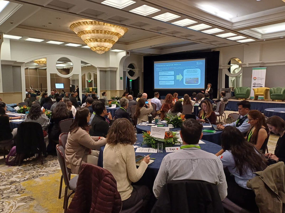 Pronatura México tweet media