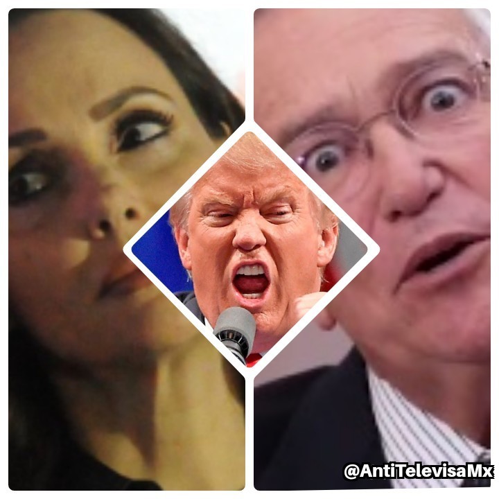 AntiTelevisaMx's tweet photo. Son unos MlSERABLES los derechistas Lilly Téllez y Ricardo Salinas Pliego... por apoyar y aplaudir que Donald Trump quiera imponer aranceles de 25% a México y Canadá. Si tanto aman a Trump y a EE.UU. váyanse @LillyTellez y @RicardoBSalinas a vivir para allá, MALDlTOS TRAlDORES.🤮 https://t.co/mnOOoCQKpr