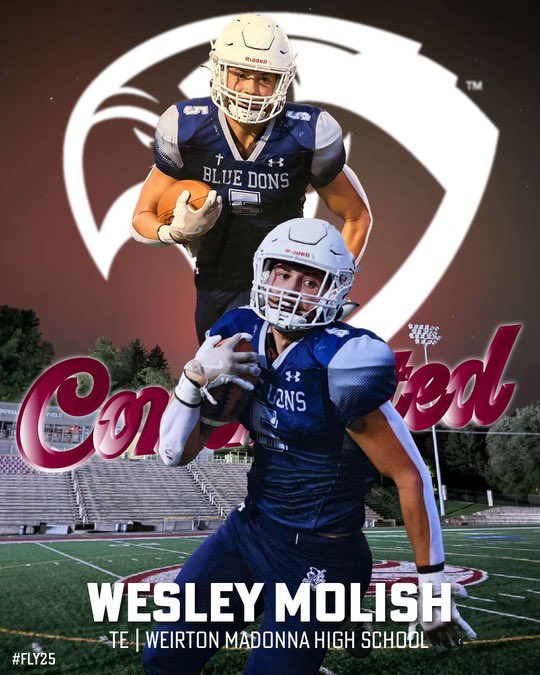 Wesley Molish tweet media