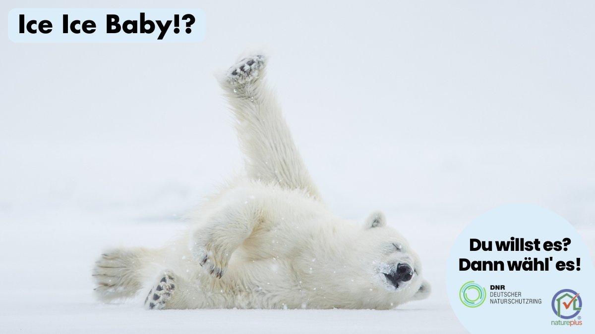 natureplus e.V. tweet media