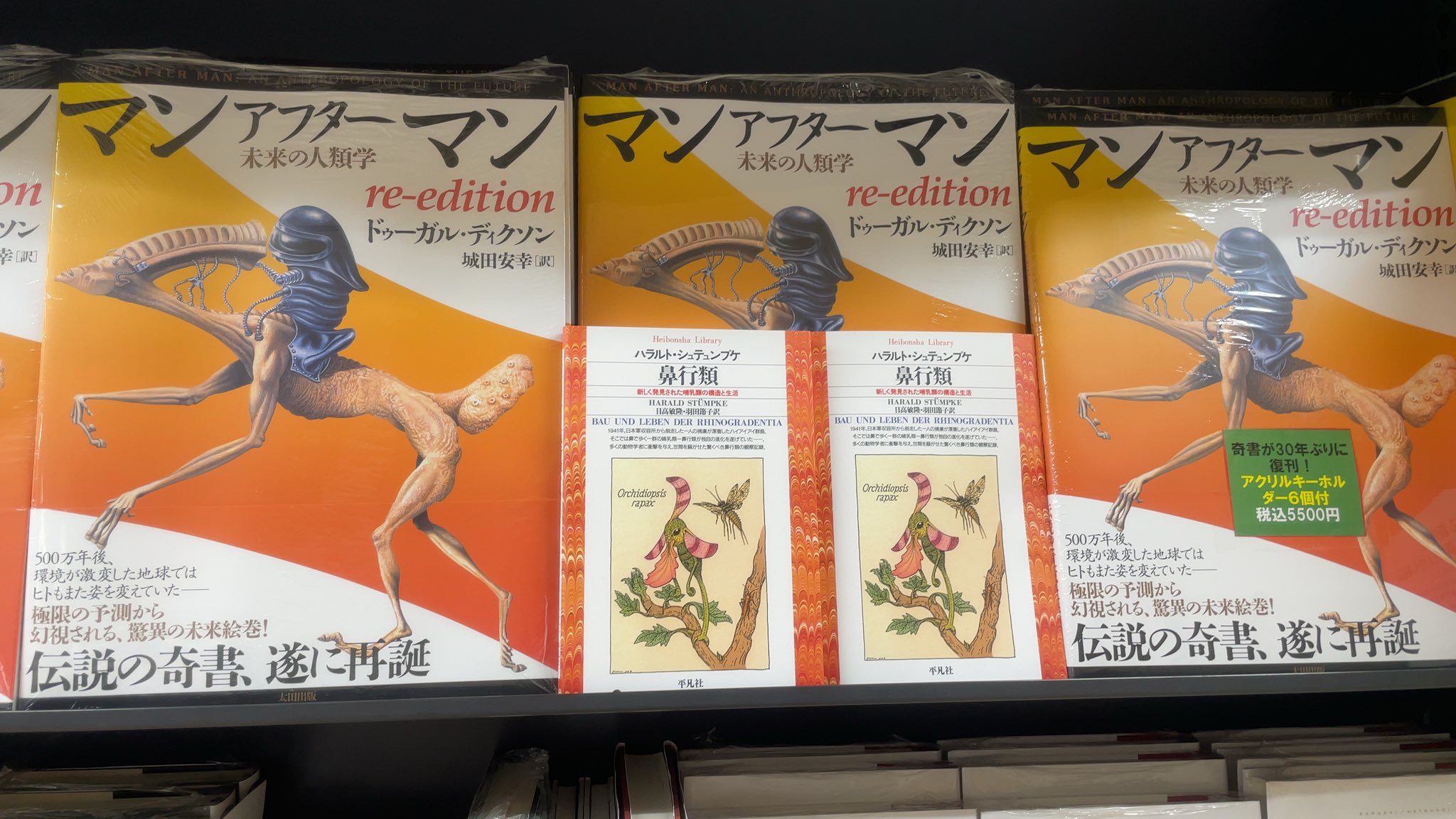 書泉ブックタワー|秋葉原 on X: 書泉ブックタワー|秋葉原 on X: