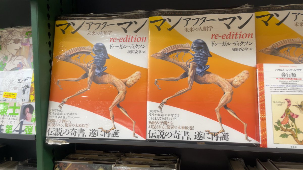 書泉ブックタワー 3階でも店頭販売しております！ 『マンアフターマン