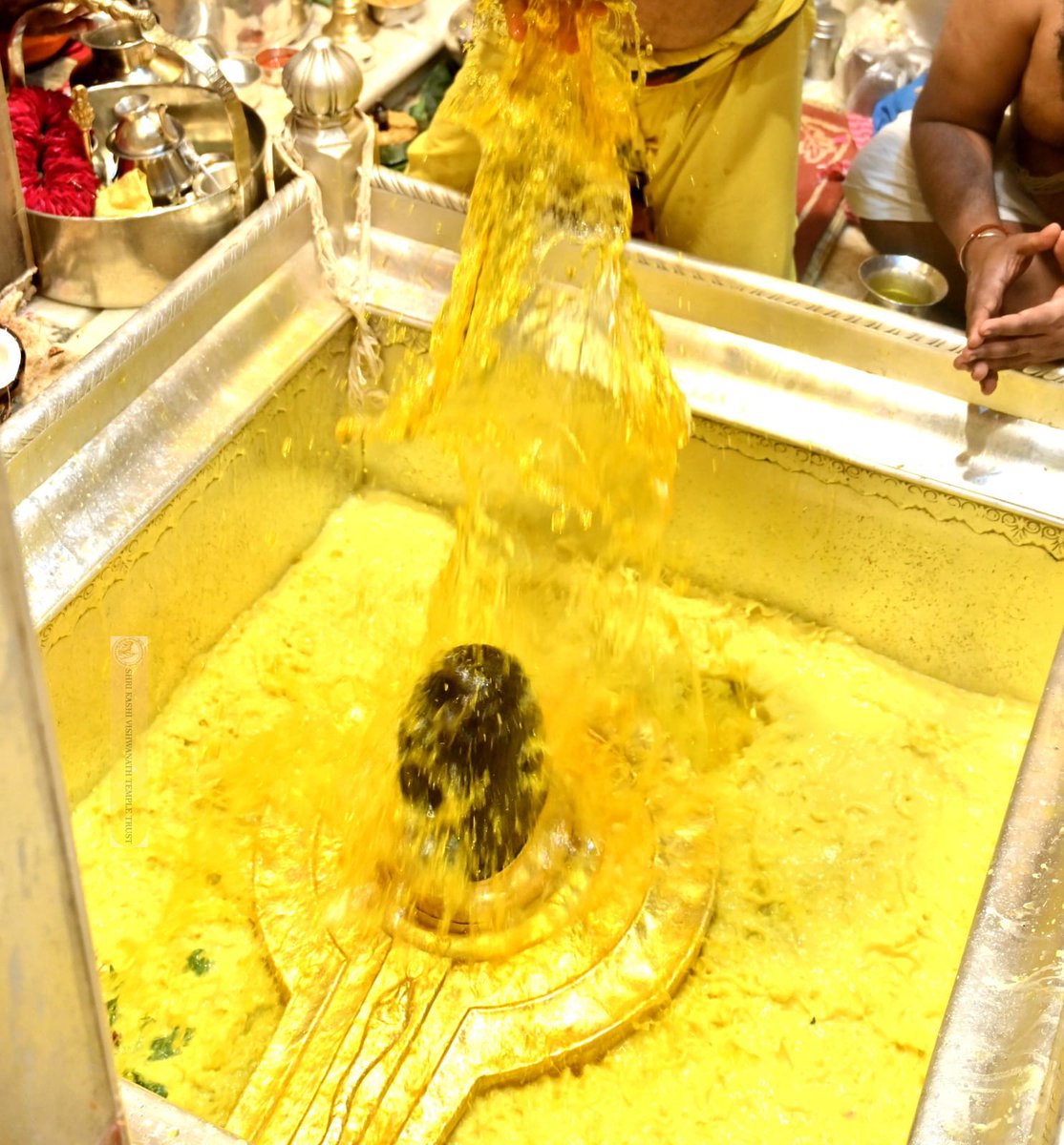 Shri Kashi Vishwanath Temple Trust tweet media