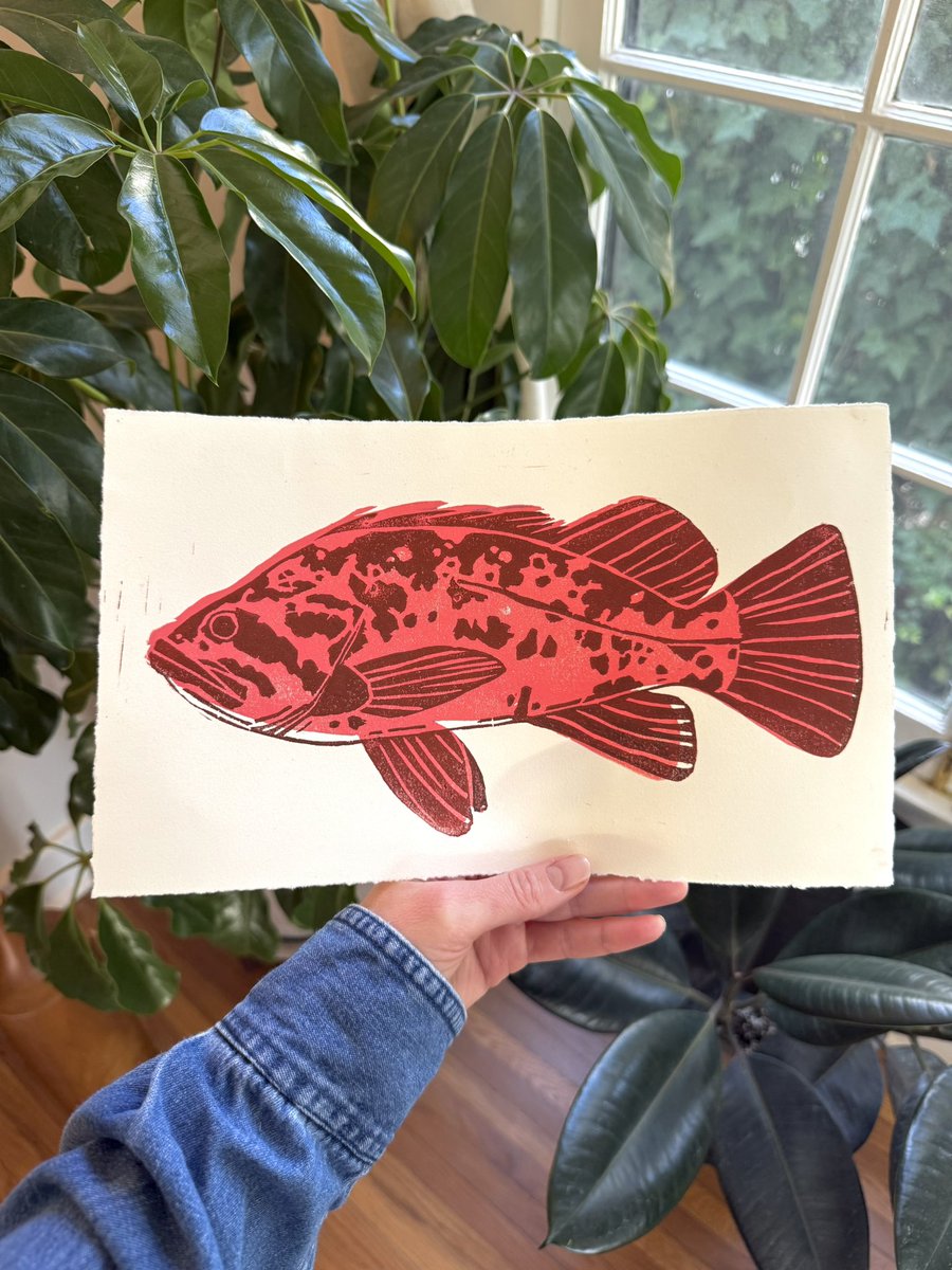 Taylor Price tweet media