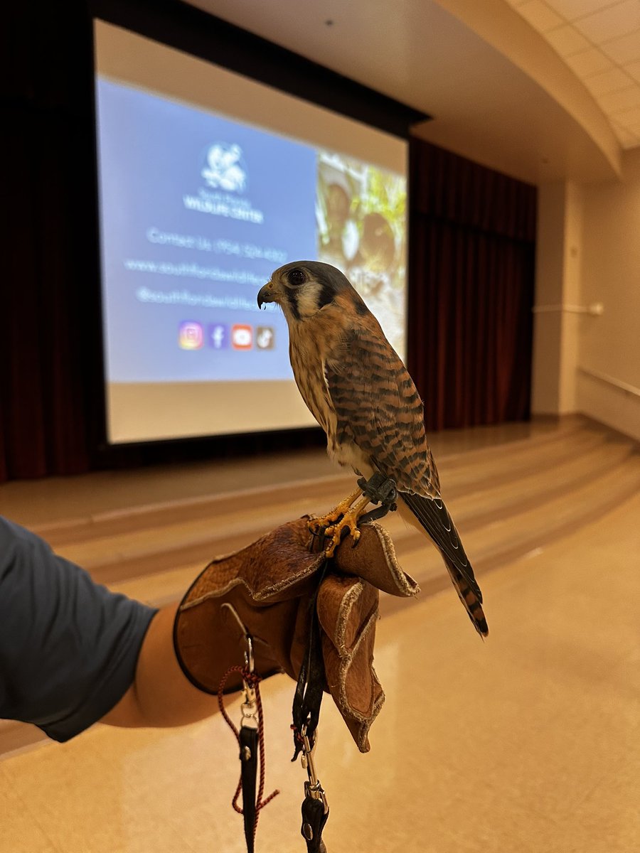 Dr.Jennifer Corcoran tweet media