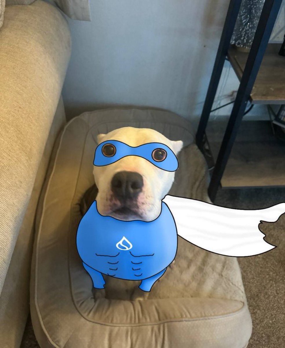 SirFox777 tweet media