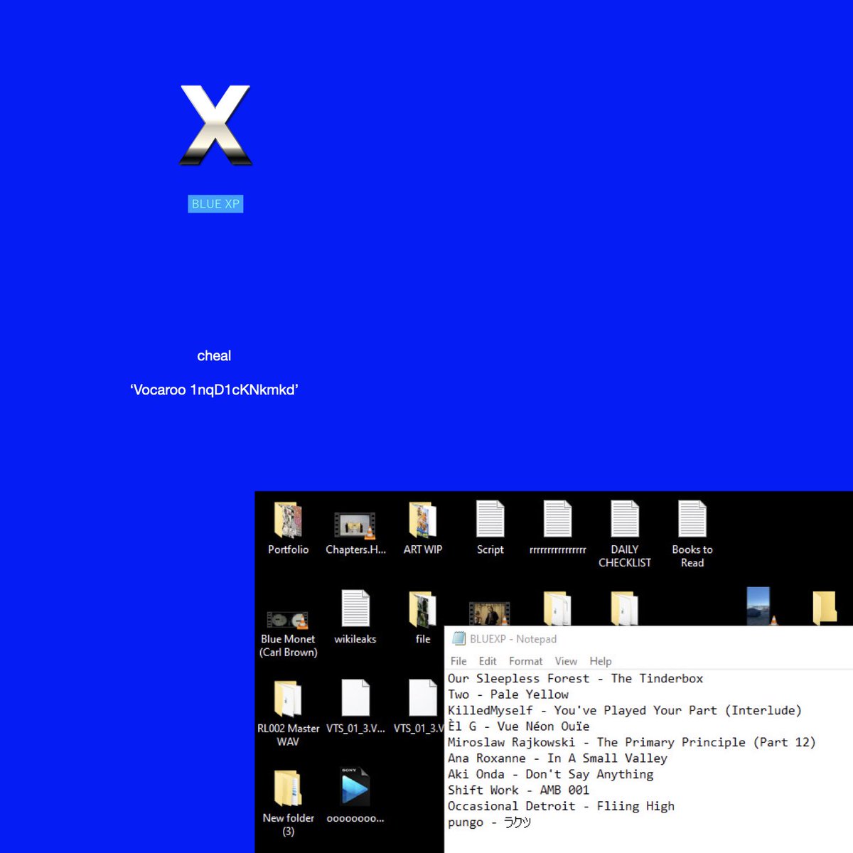 BLUE XP tweet media