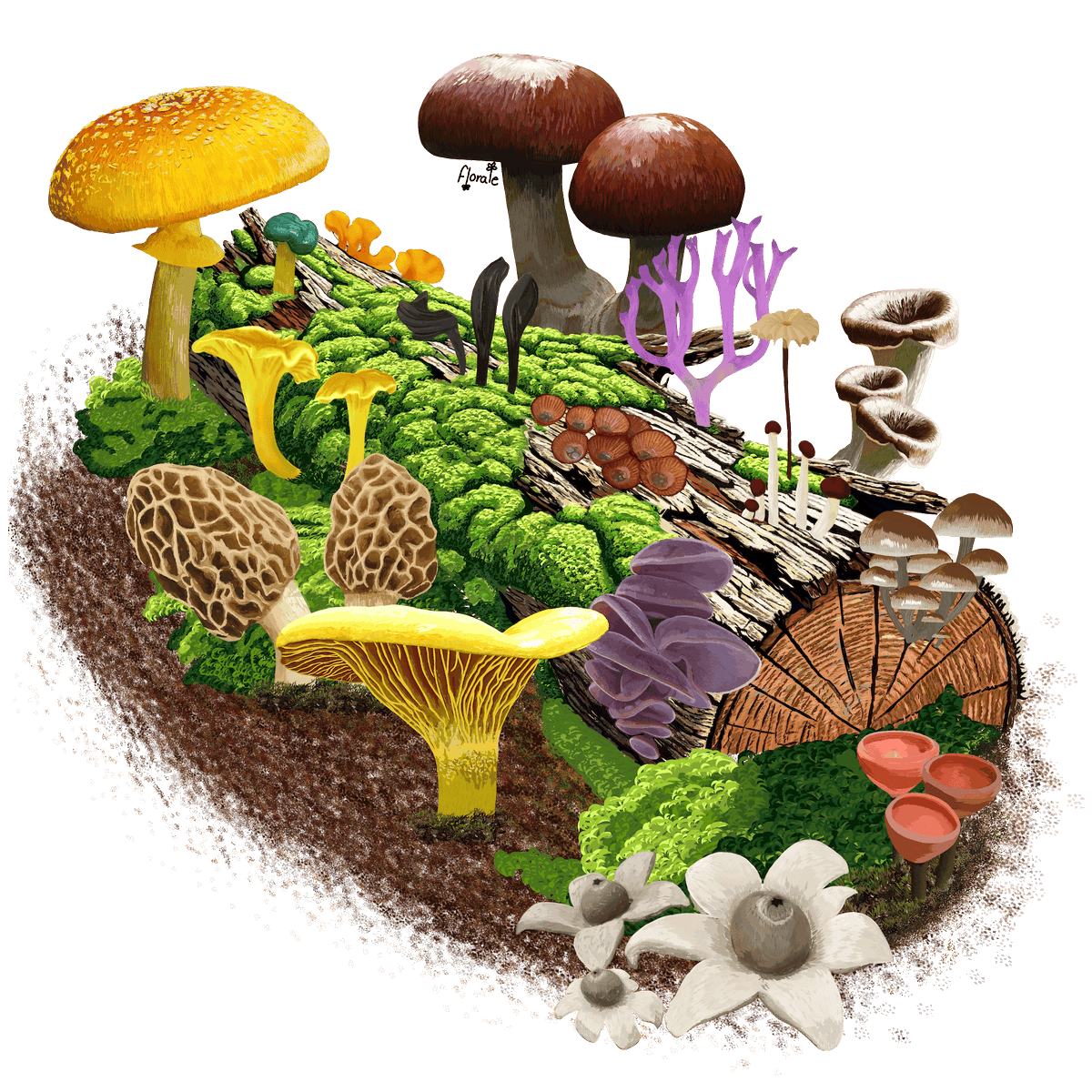 ATBC (@theatbc) on Twitter photo 🎨 Bridging Art & Science in Biotropica
With a Science Illustration Grant from the Maxwell/Hanrahan Foundation, Alejandra Pérez-Enríquez completed an internship integrating visual art into #ATBC & <a href="/Biotropica/">Biotropica</a>.
📖 Read more: conta.cc/42vVy2Y 🎨 Bridging Art & Science in Biotropica
With a Science Illustration Grant from the Maxwell/Hanrahan Foundation, Alejandra Pérez-Enríquez completed an internship integrating visual art into #ATBC & <a href="/Biotropica/">Biotropica</a>.
📖 Read more: conta.cc/42vVy2Y