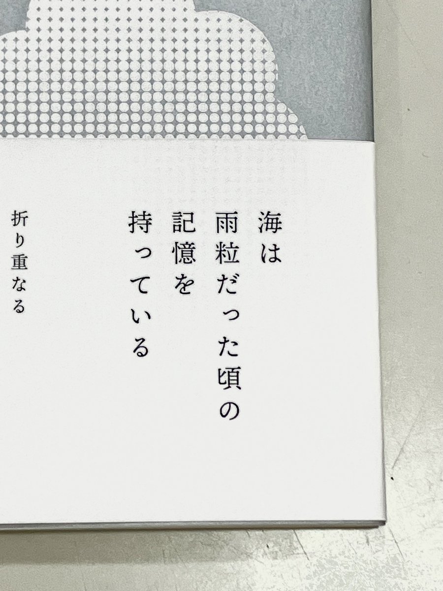 那須香詩集『入道雲を  追う』ができあがりました！
詩誌「鯨々」「space」などで意欲的に詩を発表し続けてきた那須さんの待望の処女詩集。那須さんは中原中也記念館で学芸員をされていたこともありますよ。
もうすぐ書店に並ぶので、見かけたらぜひ手にとってみてください！
＃詩　＃現代詩　＃詩人