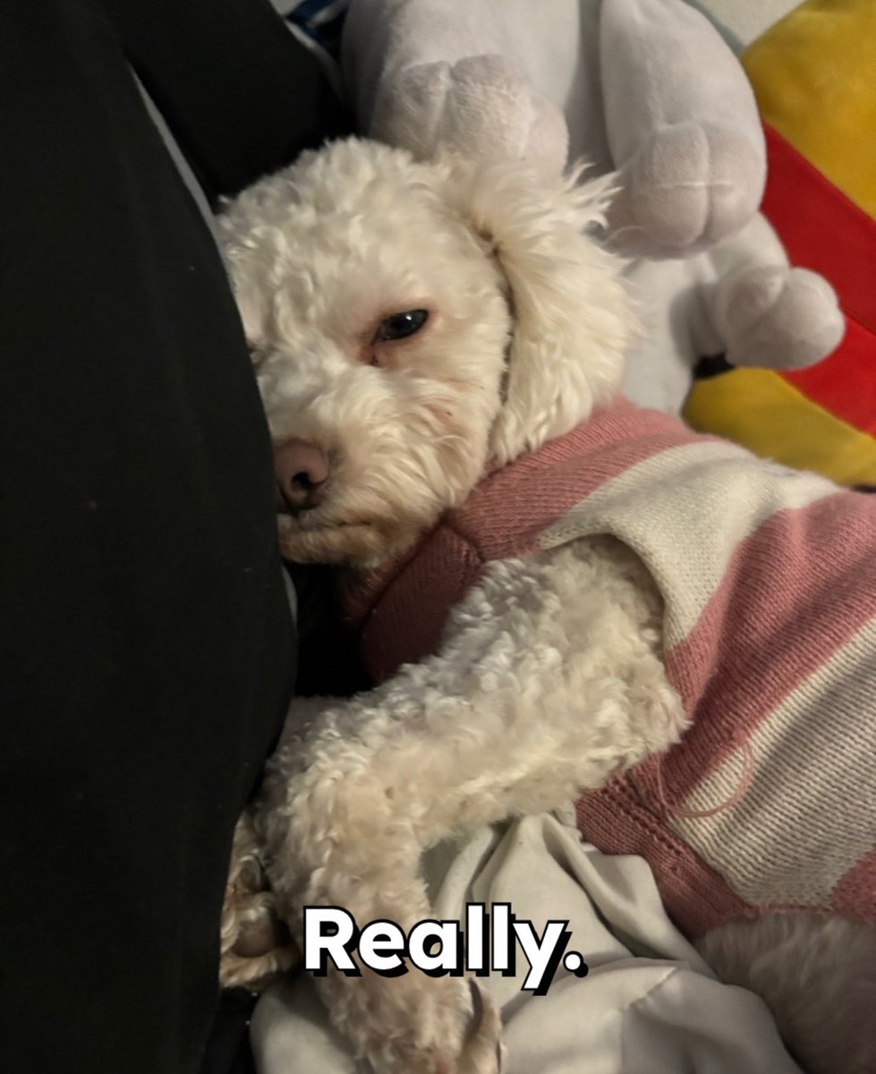 b__acosta11's tweet photo. Hearing your alarm go off on Monday morning knowing it’s time to get up. 😴
#MCO335 #overthis https://t.co/u2NGMC3gN4