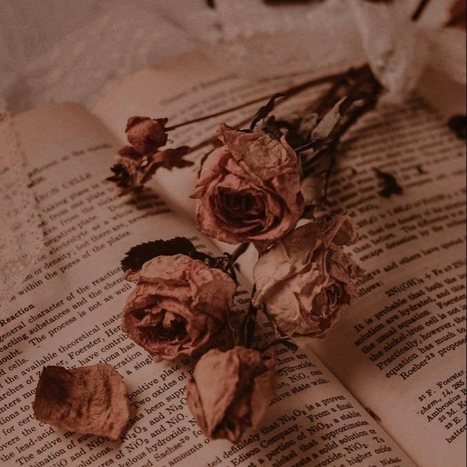 morganathefairy's tweet photo. ✨𝙱𝚘𝚘𝚔𝚜✨

- "𝘐 𝘩𝘢𝘷𝘦 𝘭𝘪𝘷𝘦𝘥 𝘢 𝘵𝘩𝘰𝘶𝘴𝘢𝘯𝘥 𝘭𝘪𝘷𝘦𝘴 𝘢𝘯𝘥 𝘐’𝘷𝘦 𝘭𝘰𝘷𝘦𝘥 𝘢 𝘵𝘩𝘰𝘶𝘴𝘢𝘯𝘥 𝘭𝘰𝘷𝘦𝘴. 𝘐’𝘷𝘦 𝘸𝘢𝘭𝘬𝘦𝘥 𝘰𝘯 𝘥𝘪𝘴𝘵𝘢𝘯𝘵 𝘸𝘰𝘳𝘭𝘥𝘴 𝘢𝘯𝘥 𝘴𝘦𝘦𝘯 𝘵𝘩𝘦 𝘦𝘯𝘥 𝘰𝘧 𝘵𝘪𝘮𝘦. 𝘉𝘦𝘤𝘢𝘶𝘴𝘦 𝘐 𝘳𝘦𝘢𝘥." - ɢʀʀᴍ. https://t.co/jLDIrKNpb1