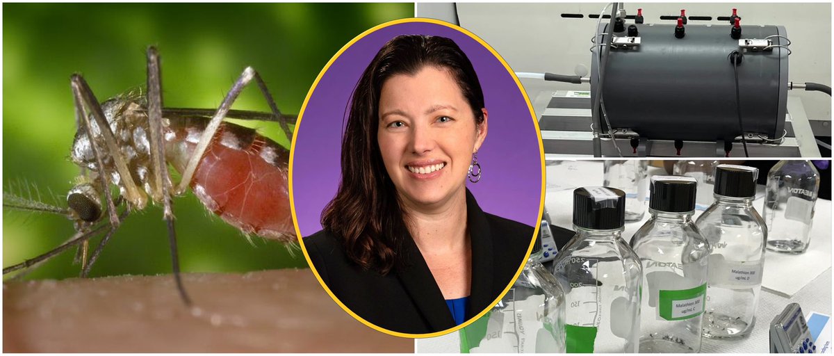 Dr. Stephanie Richards and Dr. Sinan Sousan received a $110,000 grant from North Carolina Department of Health and Human Services (NC DHHS). Read more: sites.ecu.edu/ehsprogram/202…
#ECUEnvironmentalHealth