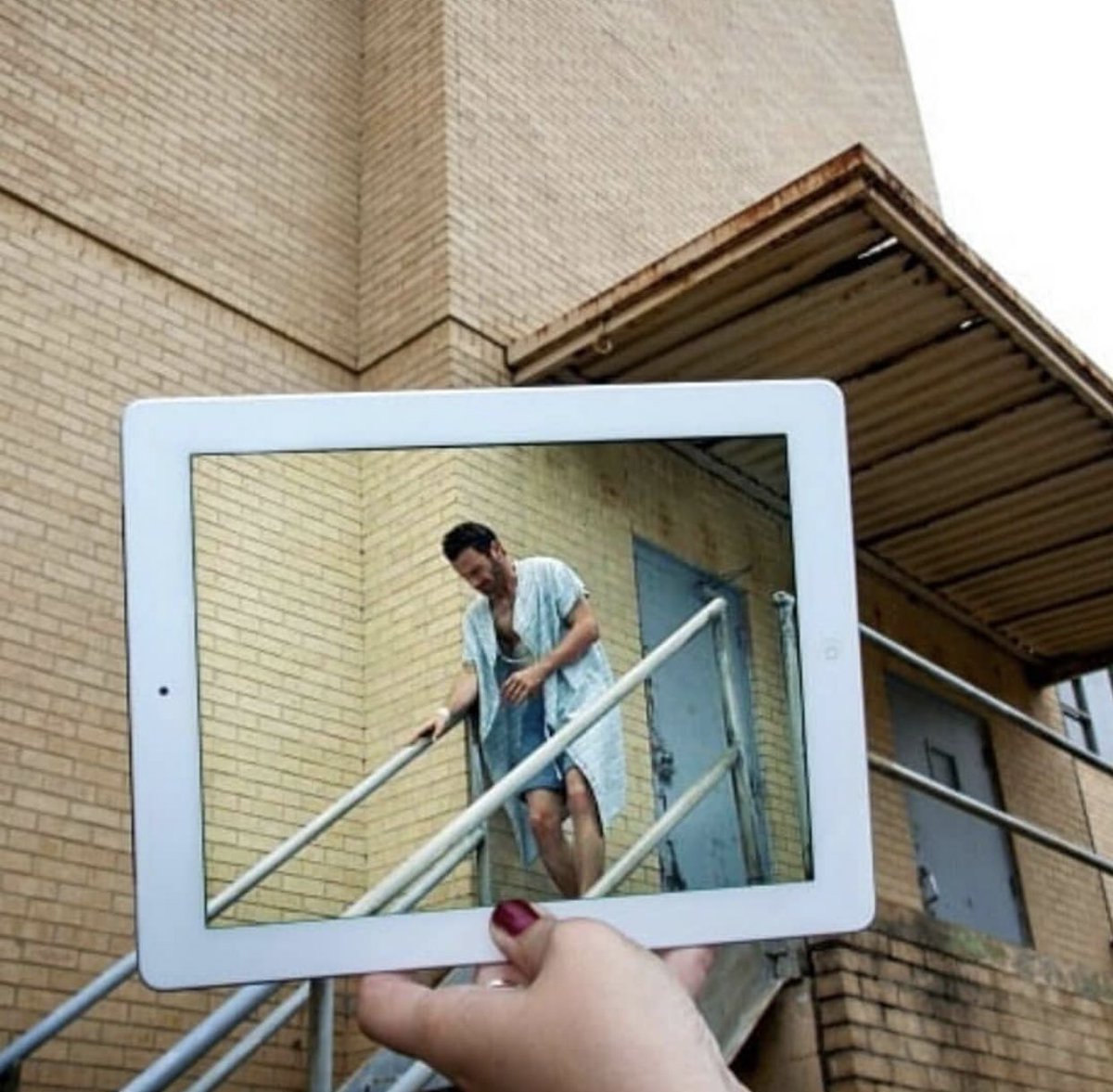 TWD Arabic™ tweet media