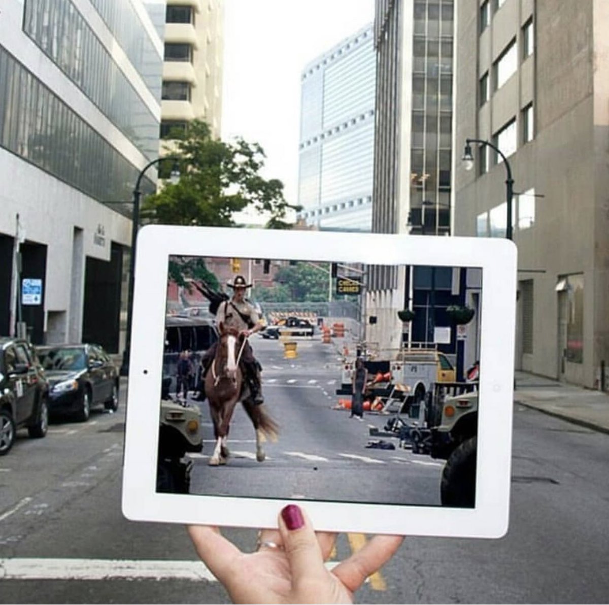 TWD Arabic™ tweet media