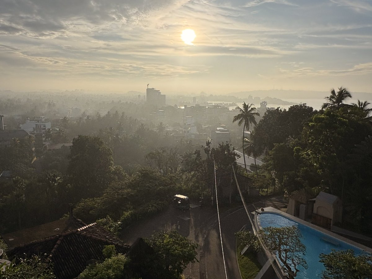 Adam Collins tweet media