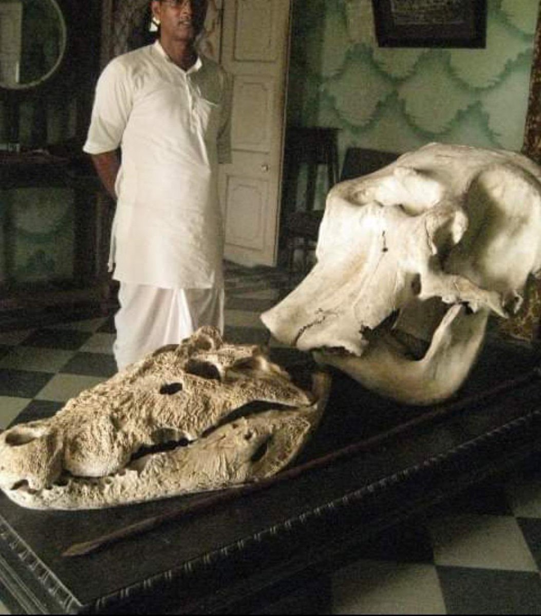 The largest reptile alive today (saltwater crocodile) 

vs 

The 2nd largest terrestrial mammal alive today (Asian elephant)