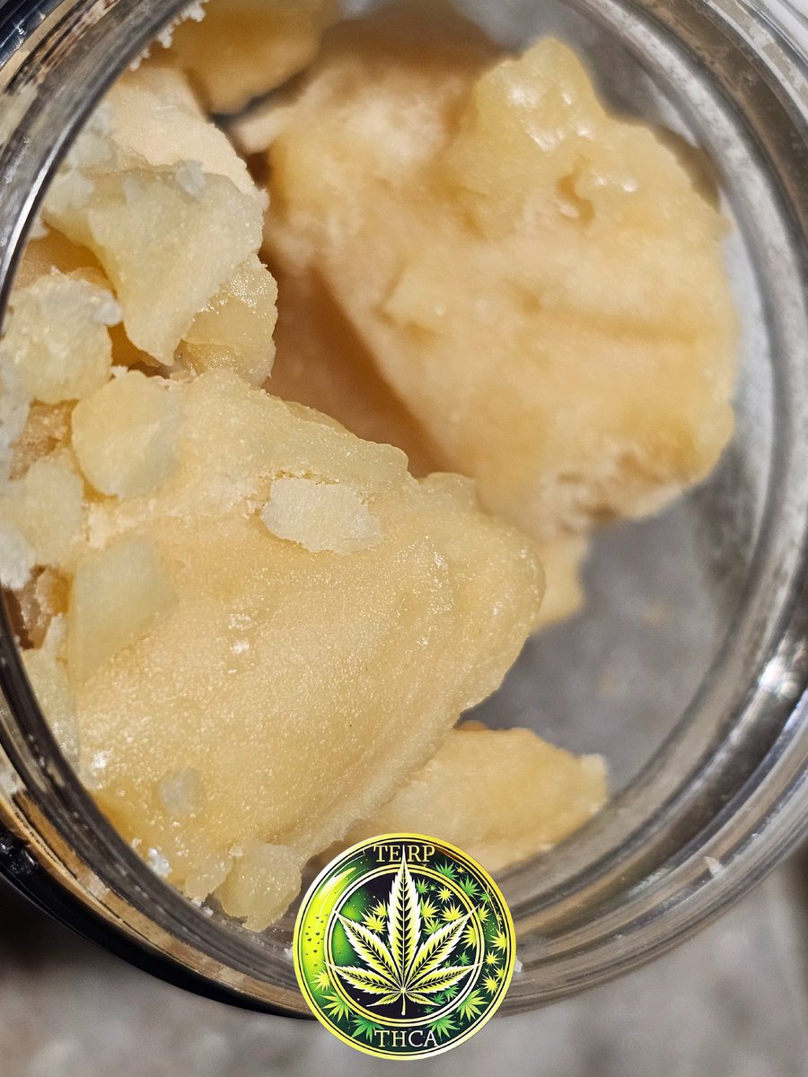 TERP_THCA's tweet image. Coming soon!!

#StonerFam #Mmemberville #crumble #terpsupply #terpthca #420Everyday #miami #Orlando #FtLauderdale #Chicago #nyc #tampa #bocaraton #boca #okc #Memphis #austin #atl #wax #concentrate #PremiumFlower #chitown #tulsa #Milwaukee #Houston #austin