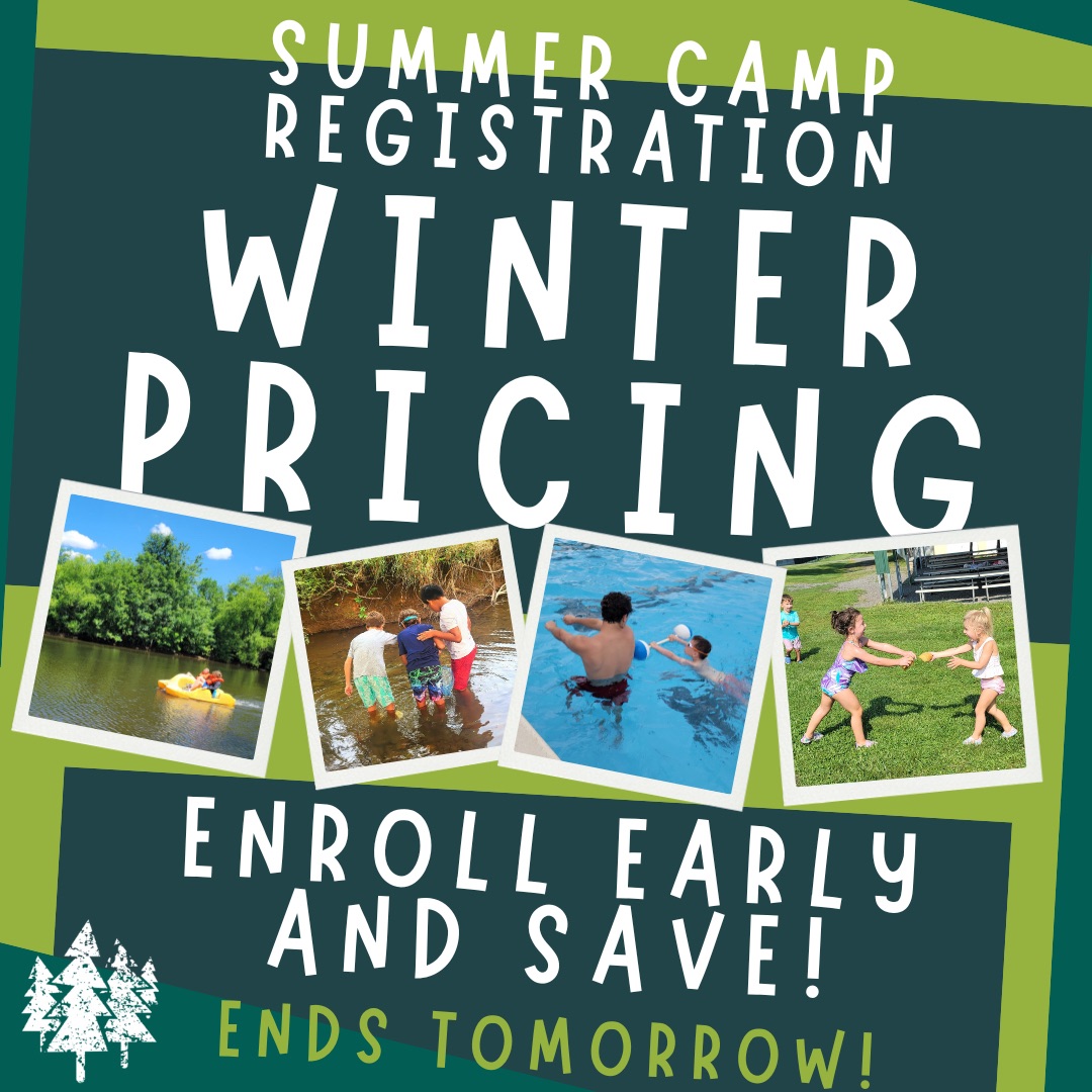 Camp Curiosity & Curiosity Academy tweet media