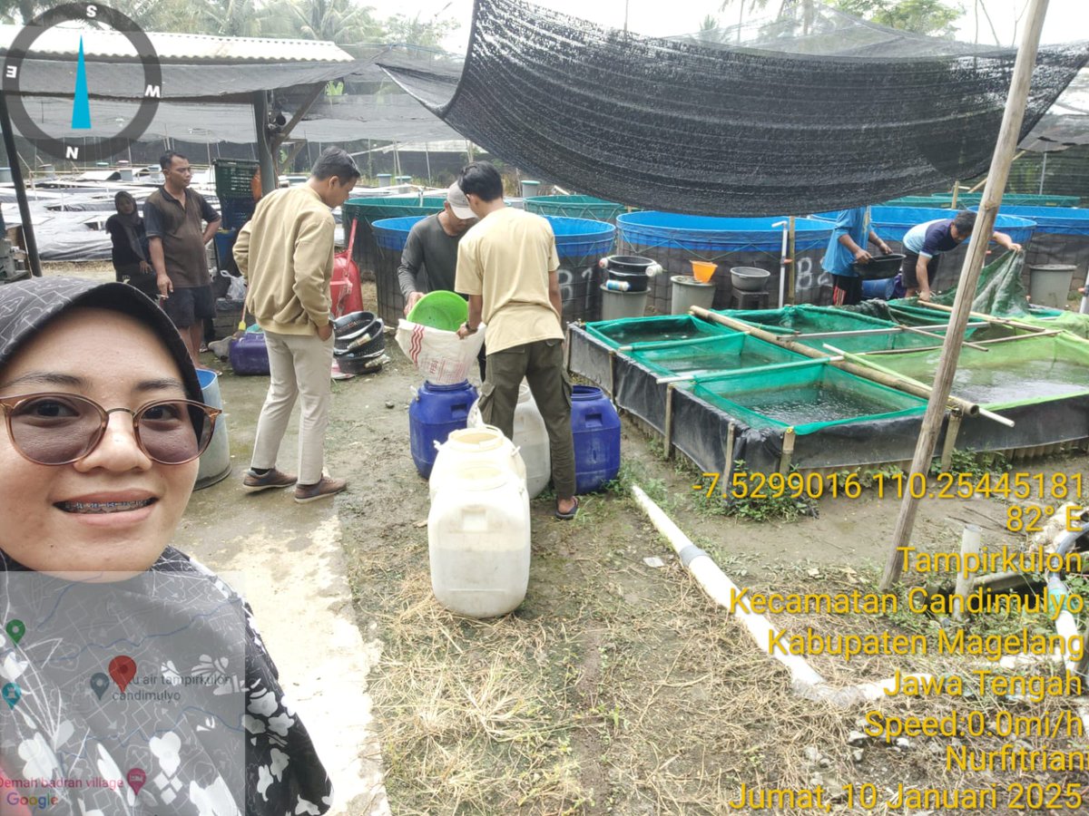 Nurfitrianijafar tweet media