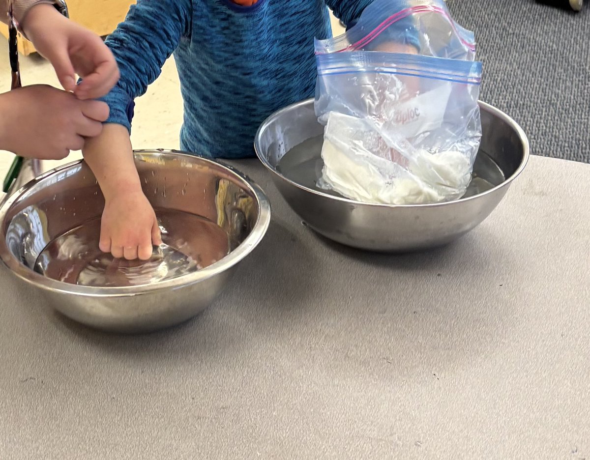 In FDK, we did an experiment today to find out how animals stay warm in the cold weather. We used a bag of fat (crisco shortening) to protect our hands from ice cold water and learned about how animals need “blubber” to survive the winter.