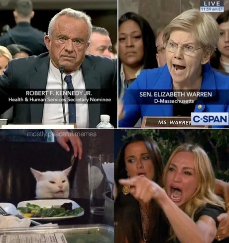 EQuinones6310's tweet photo. When you realize the cat at the dinner table has better manners than the political debate you're watching. 😂
#PoliticalDebate #DinnerDrama #CatClass #Humor #SurpriseGuest #MemeMagic #GoodTimes Khloé in Wonder Land Lamelo Schiff #ProBowlGames Dana Bryce Mitchell https://t.co/s5GkMjWuxX