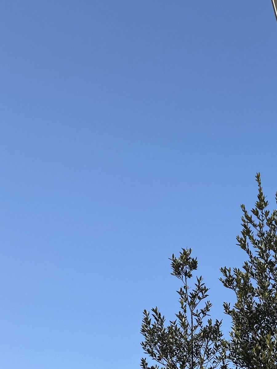agritrio's tweet photo. 1月31日キラキラ金曜日✨豊橋市の天気は晴れ☀️今日も冷たい風がびゅうびゅう吹いています❄️
あっという間に1月最終日です、2025年最初の一月が過ぎました🎍寒い日が続いており感染症も流行っていますが気をつけながら今日も一日頑張っていきましょう！
#イマソラ
#企業公式が毎朝地元の天気を言い合う https://t.co/HLAiVJKzZR