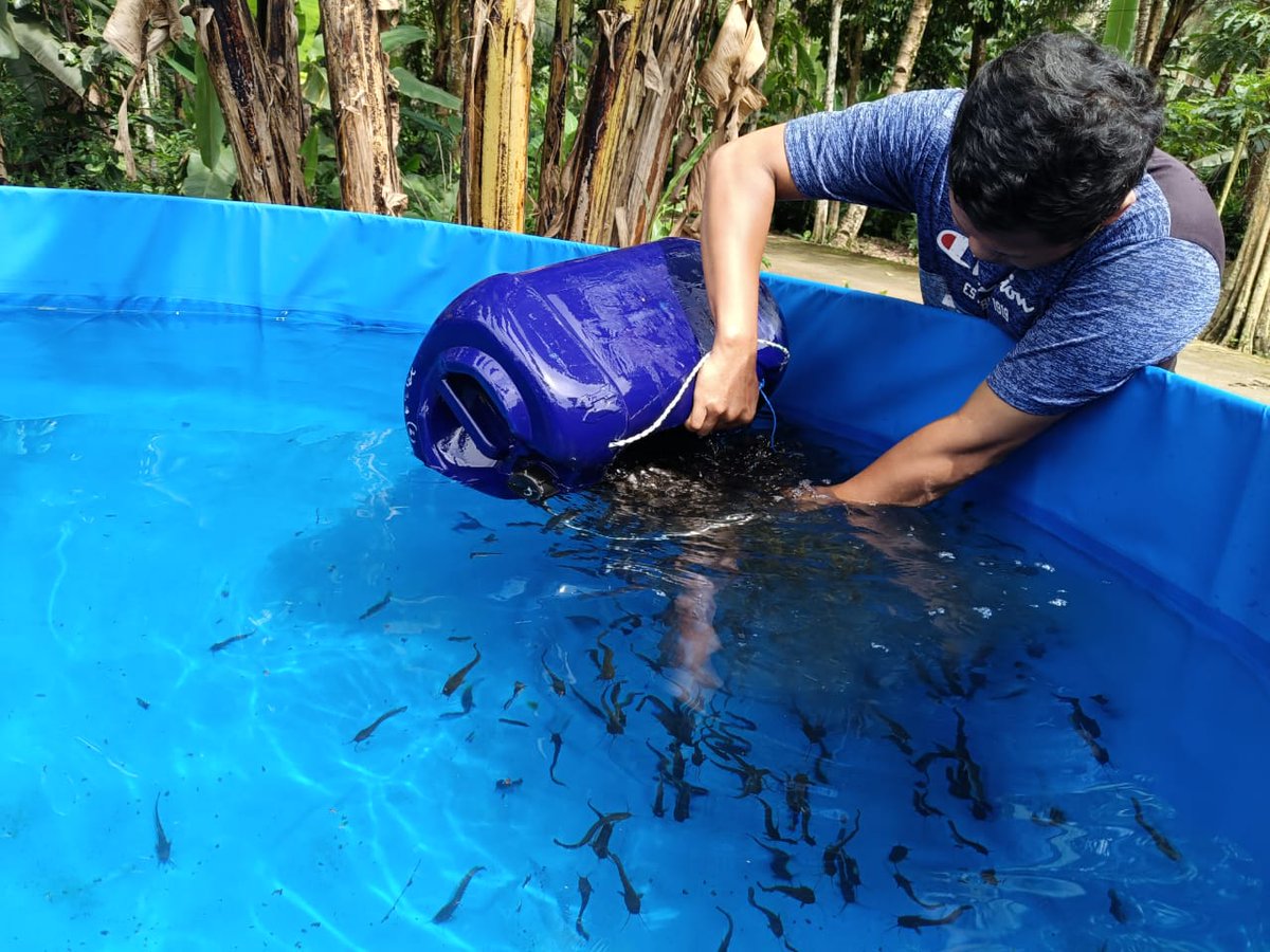 Nurfitrianijafar tweet media