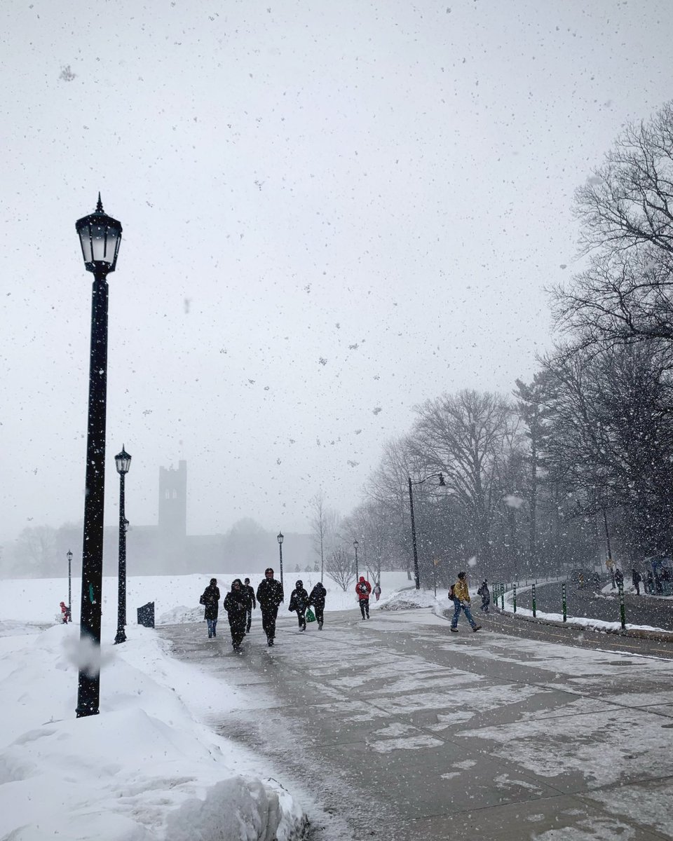 CroseBrooks's tweet photo. Winter ❄️ on campus @WesternU https://t.co/Hcvf5xpTbR
