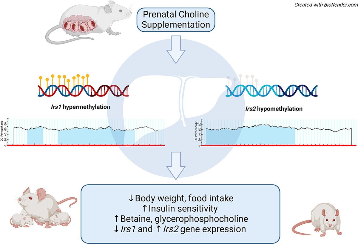 JNutrBiochem tweet picture