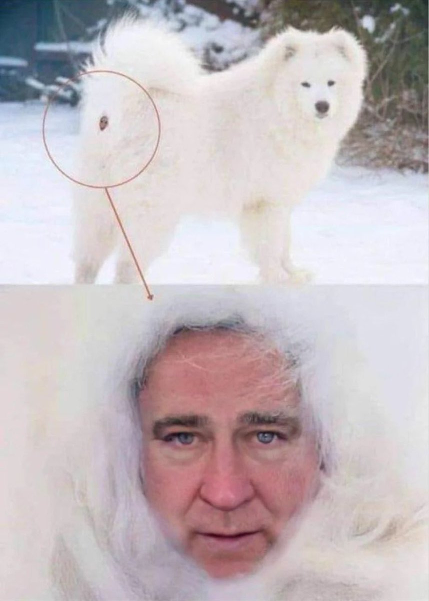 Your daily $GME reminder: