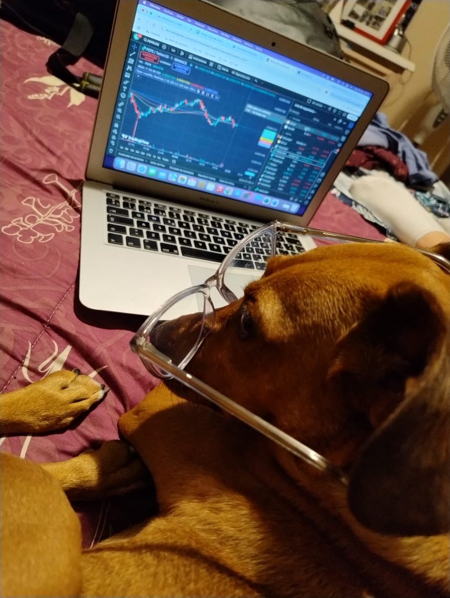 La perra trader no existe. 

La perra trader 🥹👇🏻

#Bitcoin #crypto #pepecoin