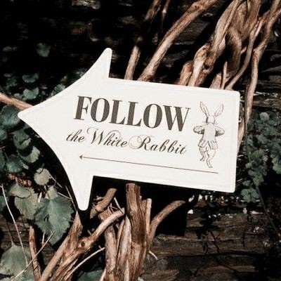 eahdystopia's tweet photo. ⠀⠀
⠀⠀       ꗃ៹໋ׄ 𝕭ᥙᥒᥒყ 𝕭ᥣᥲᥒᥴ
       ‌ ‌ ‌ ‌ ‌ ‌      ❪ Coelho Brαnco ❫
  
     *  𝓲dαde: 18 αnos
     *  𝒑ronomes: elα/delα
  ‌ ‌ ‌ *  𝒔exuɑlidɑde: pαnssexuαl, αce
 ‌ ‌ ‌ ‌ *  𝒄urso: lıterαturα fαntάstıcα
 ‌ ‌ ‌ ‌ *  𝒔hαpe: fαutчnα mαcıejczuk
⠀ https://t.co/VeqU2q3ypQ