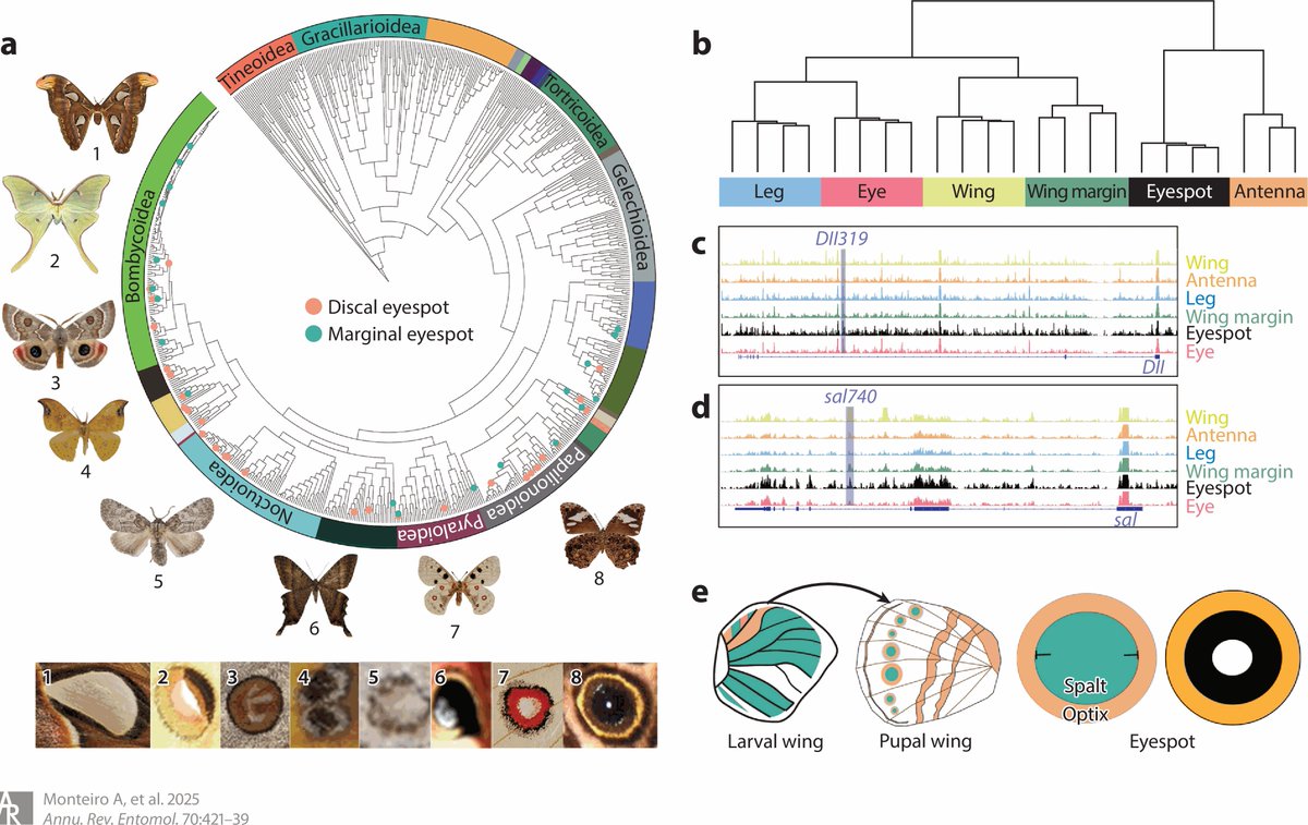 Bryan Kelly tweet media