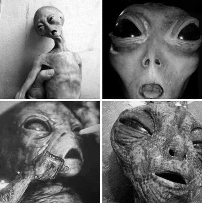 My camera roll after a night out with the guys