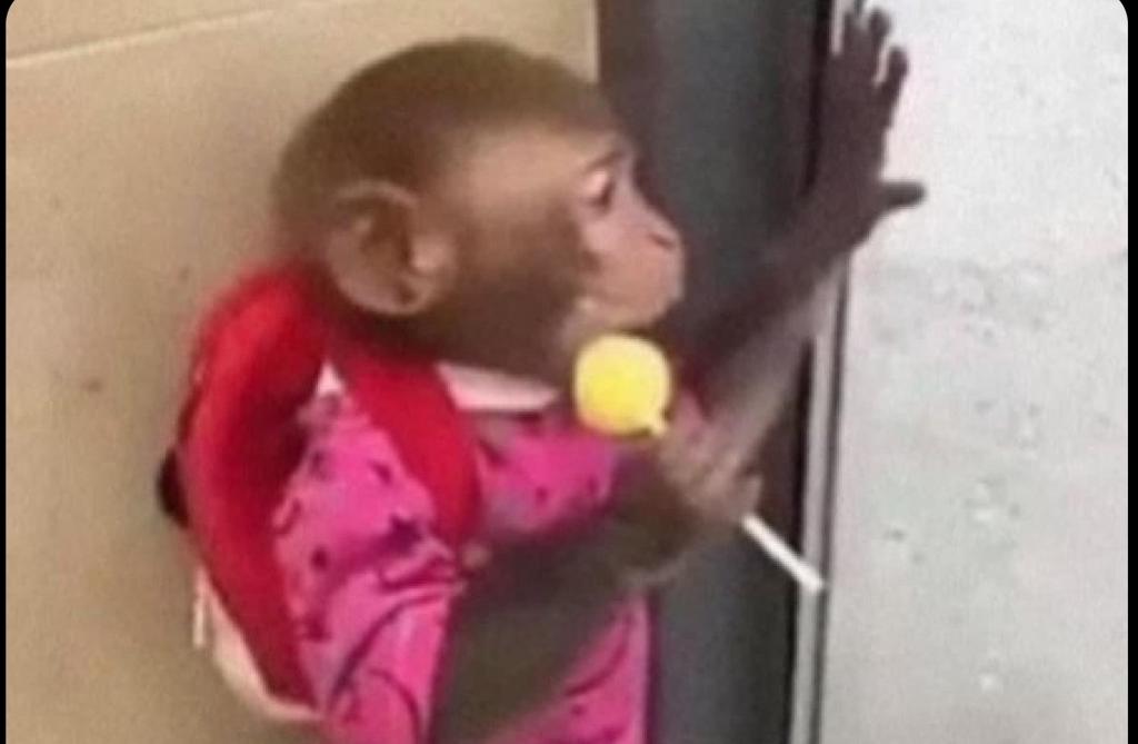 Nunca pensé verlos hablando mal de David Ortiz