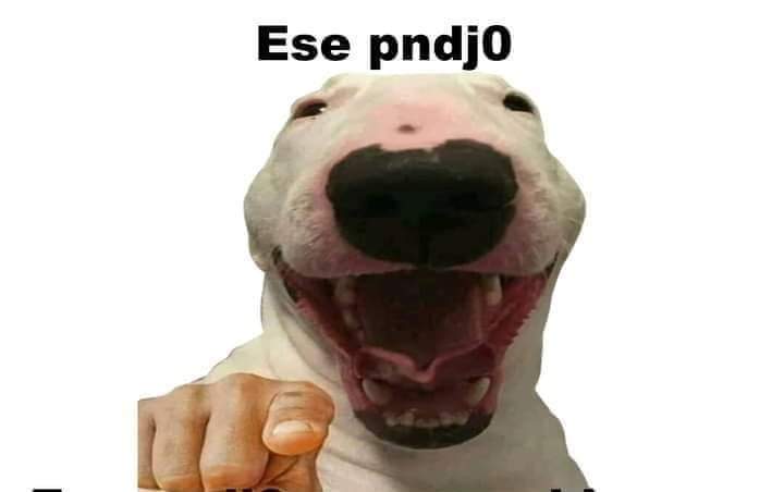 clumsyskies's tweet photo. @Fernand99350579 @CartoonsOTMoon Me agrada que siempre este tipo de personas que siempre se dan golpes de pecho salgan sus verdades a flote. Ya sabía que esa persona menos de fiar. Todos deberían de ser como Zoe Saldaña que no ha dicho ni pío, una genia. https://t.co/nY6xuK3Nk0