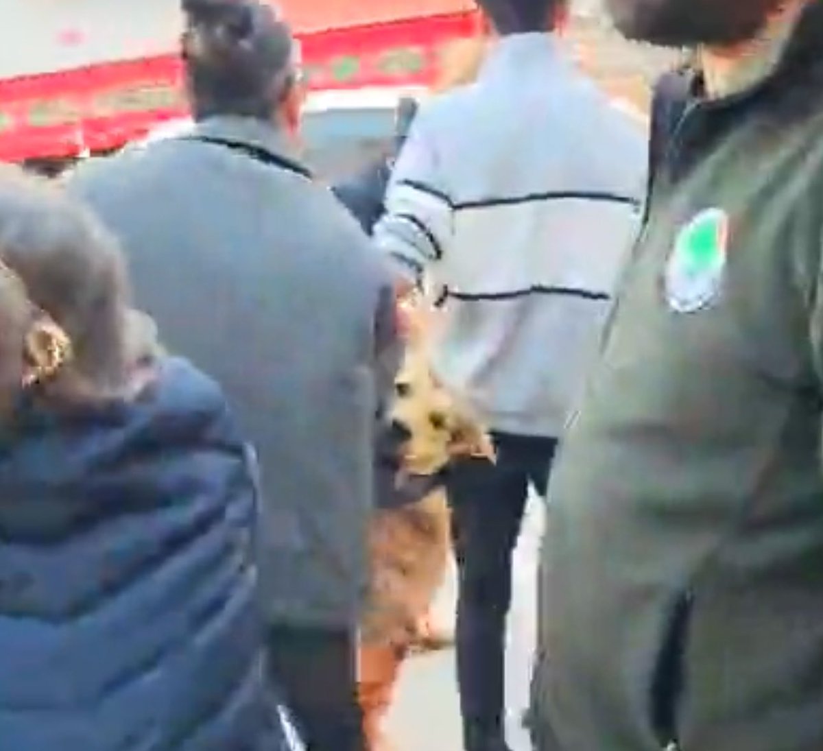 patiarkadas's tweet photo. Mamak belediyesi bugün bu çocuğu öldürdü. Son kez hayata böyle baktı. Sizin siyasetiniz de yasanızda batsın!! Hayvanseverlerin oylarıyla gelip hayvan katletmenin tarifi yok.

X 🎥 @sleymannecip 

#YasayıİptalEtAYM #yasayıgericek https://t.co/YIOBukjilP