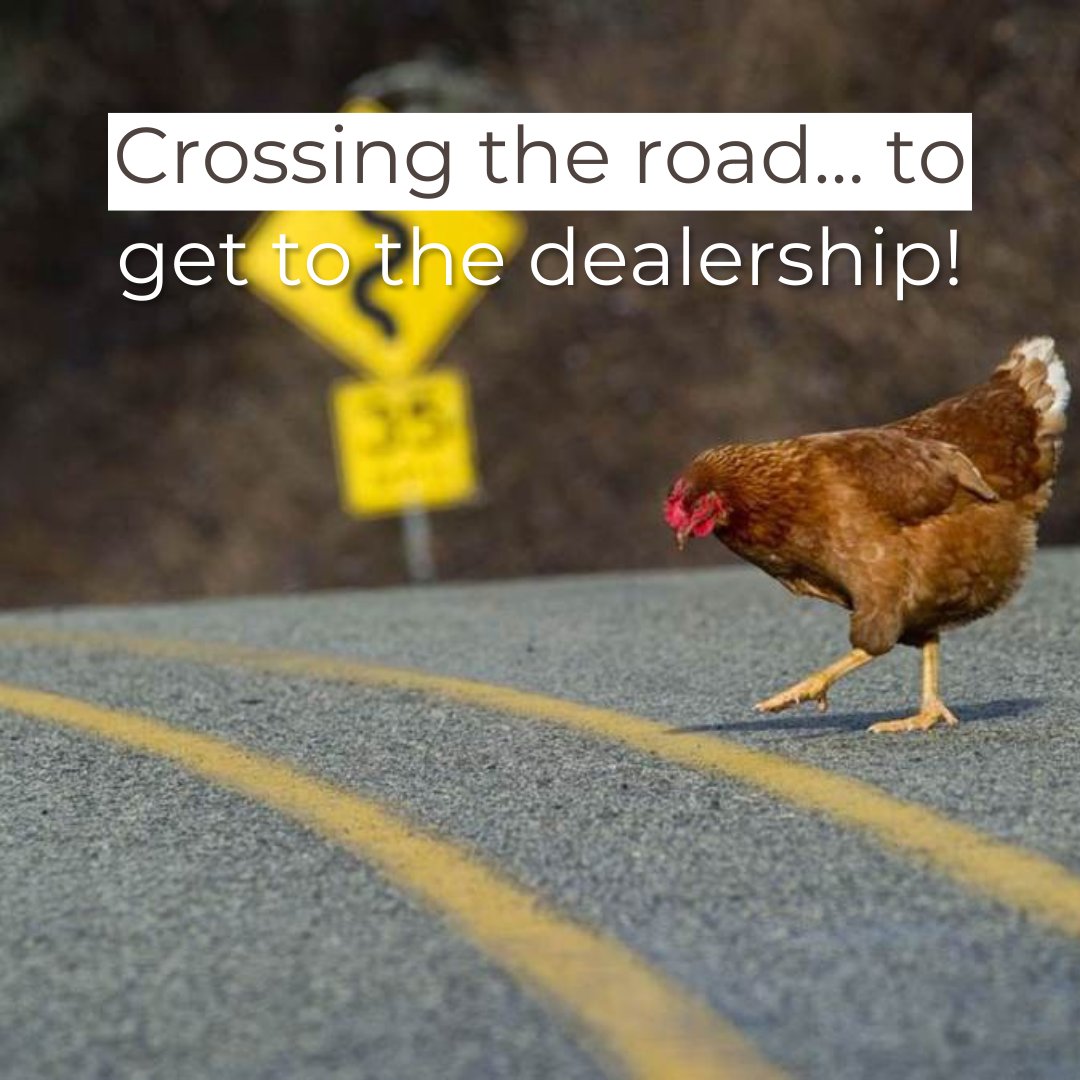 AutoListerPro's tweet image. Here’s a good one for you: 

Why did the chicken go to the car dealership? 

She wanted to trade the coop for a sedan 🤣

#CarSales #DealershipLife #BDCManager #GSM #Letsjustdoit