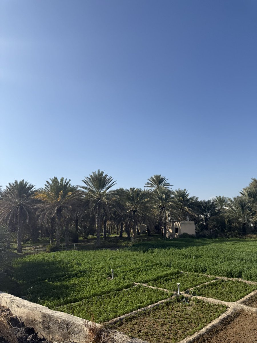 اللهم طريق الصالحين، وثبات الصالحين وخاتمة الصالحين🤲🏻
#جمعة_مباركة 
#شعبان