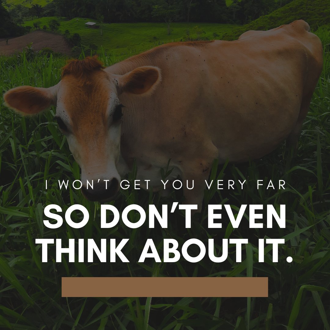 AutoListerPro's tweet image. Here’s a good one to fuel your laughter:

What is a cowboy’s least favorite car? 

A cattle-lack 🤣