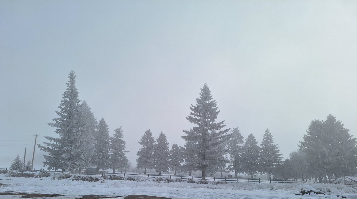 SarahErick41684's tweet photo. Progression of fog today outside of work https://t.co/wuhstccCix