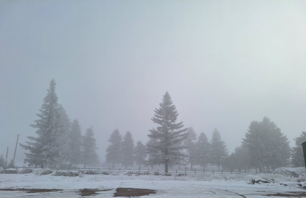 SarahErick41684's tweet photo. Progression of fog today outside of work https://t.co/wuhstccCix