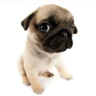 JÁ OUVIU ULTRA HOJE?