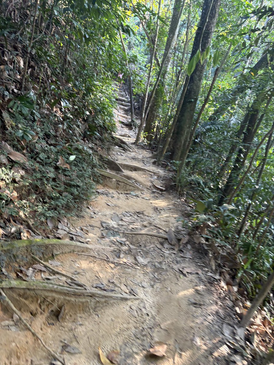 xiaomei___19's tweet photo. (4枚目⚠️昆虫注意⚠️)
今朝はいつもの登山コースを逆走してみた。
下りよりも、登りの方が歩きやすい。
#朝散歩
#朝登山
#朝トレイル
#bkitgasing https://t.co/dJpxdIFP1S
