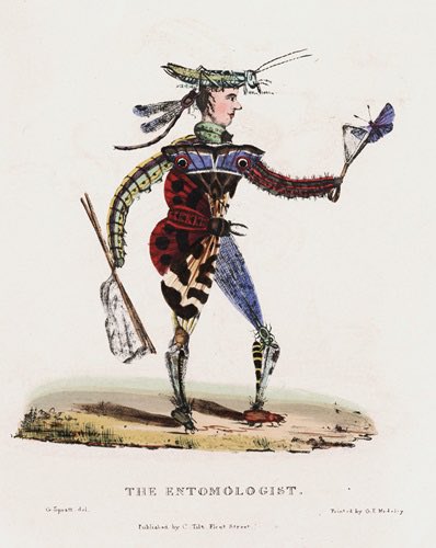 LewisWalpoleLibrary tweet media