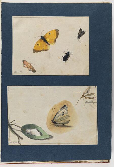 LewisWalpoleLibrary tweet media