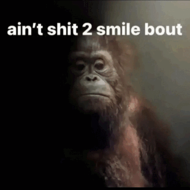 Lilyanni5's tweet photo. state of mind after today https://t.co/mvXNchlwnj