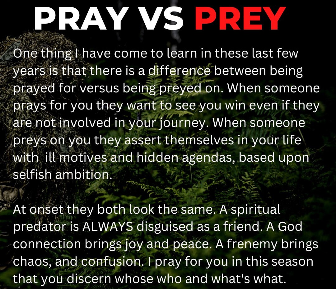 Oracle_ofMatrix's tweet photo. @anammostarac I know someone like that, took me 13 years to figure out they were a complete lying fraud. Great con-man, terrible friend in the end. Be leery of those hiding behind the cloth and cloak of religion, they're the worst! https://t.co/8IyFTduQl0